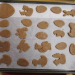 phoca_thumb_m_krteci pernky 17 Fotogalerie